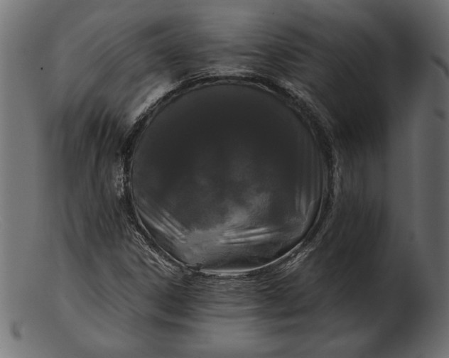 X0000103221306200809111459