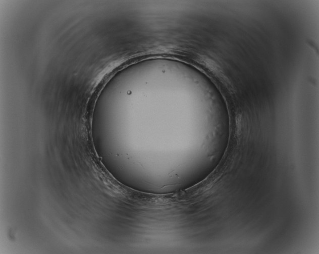 X0000103221308200809111459