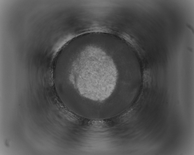 X0000103221310200809111459