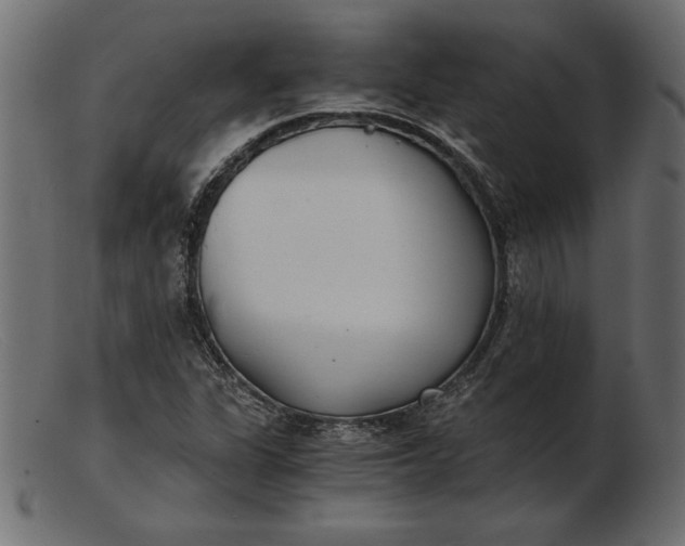 X0000103221311200809111459