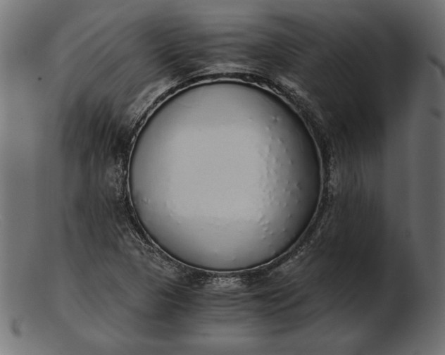 X0000103221313200809111459