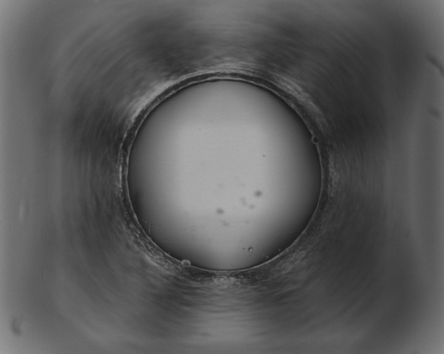 X0000103221316200809111459