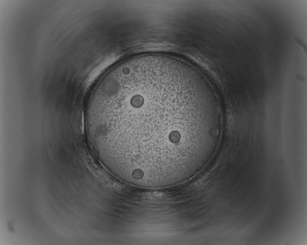 X0000103221317200809111459