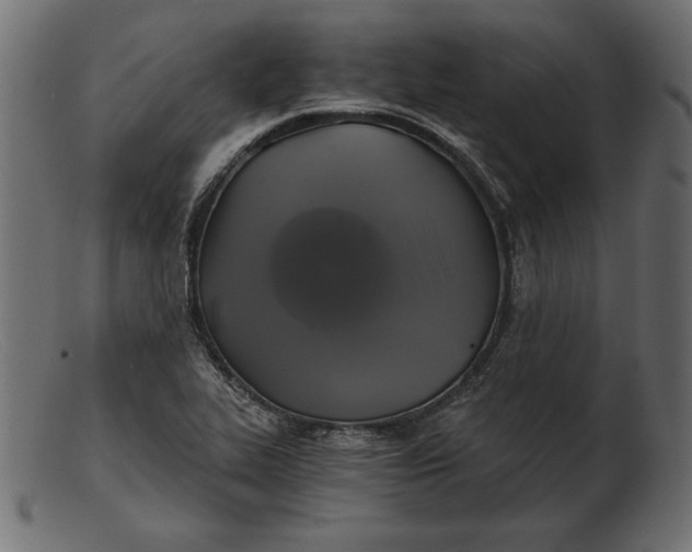 X0000103221319200809111459