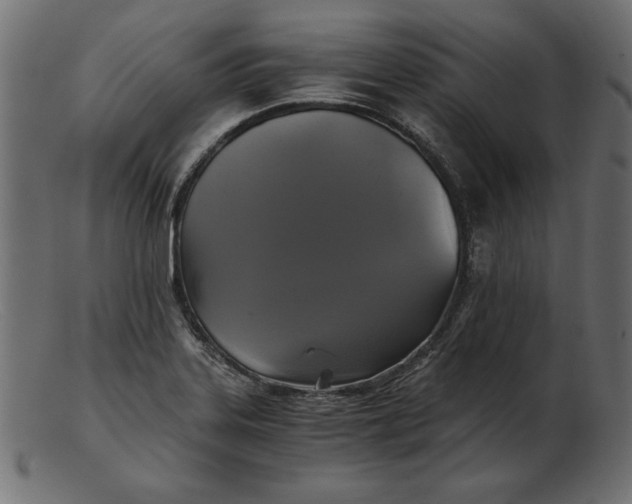 X0000103221323200809111459