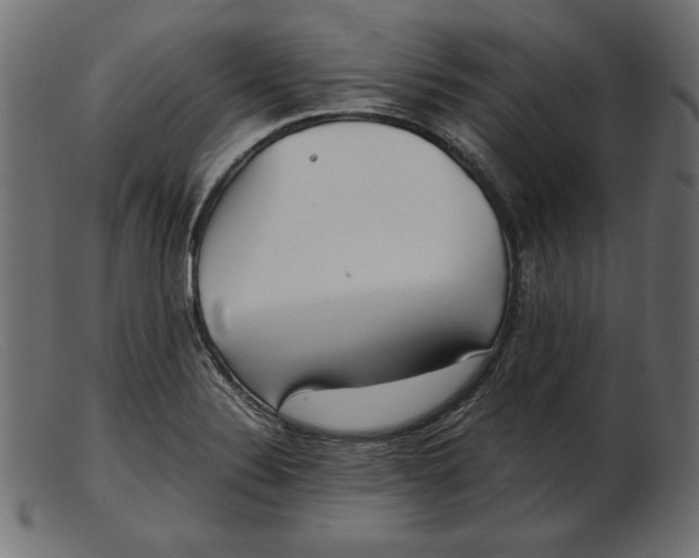 X0000103221324200809111459