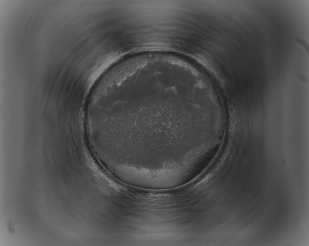 X0000103221325200809111459