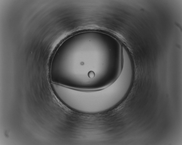 X0000103221326200809111459