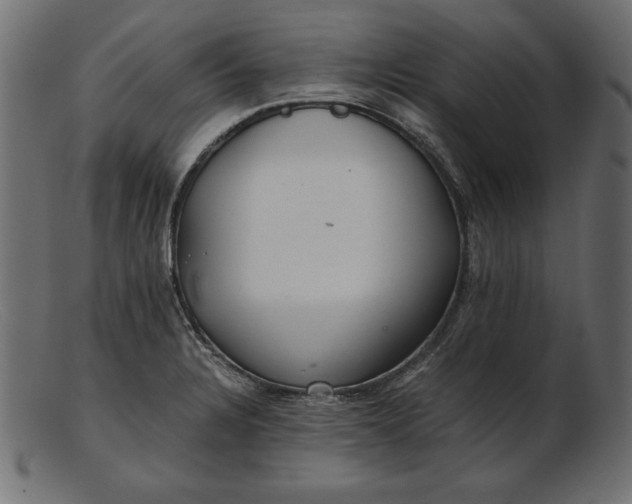 X0000103221328200809111459