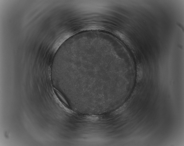 X0000103221329200809111459