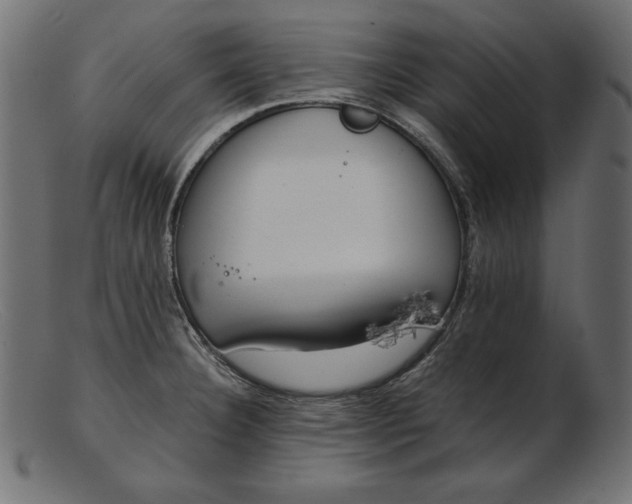 X0000103221332200809111459