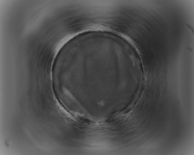 X0000103221335200809111500