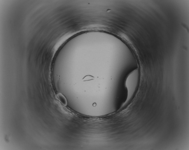 X0000103221336200809111500