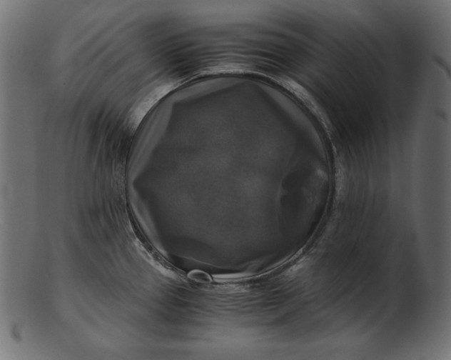 X0000103221337200809111500