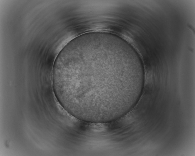 X0000103221338200809111500