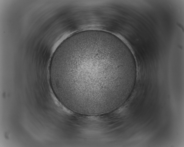 X0000103221341200809111500