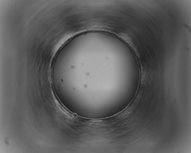 X0000103221342200809111500