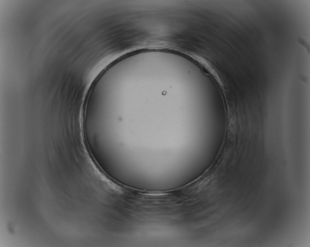 X0000103221343200809111500