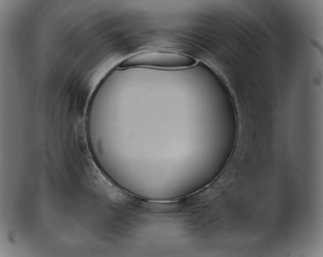 X0000103221344200809111500