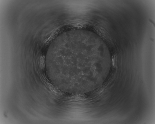 X0000103221347200809111459