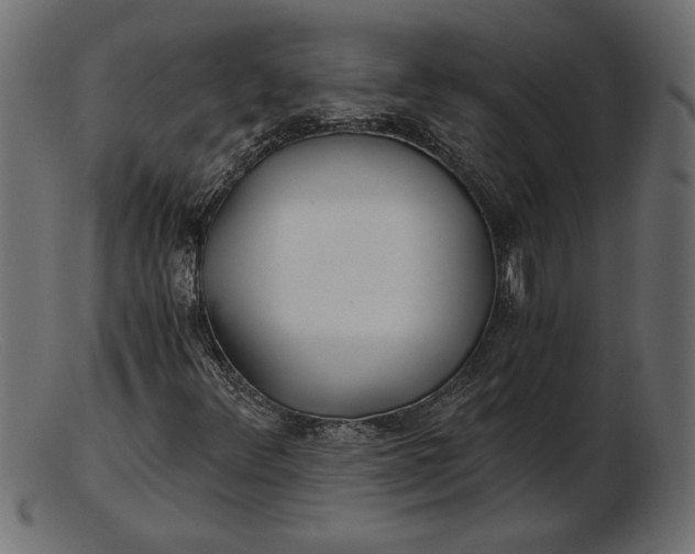 X0000103221348200809111459