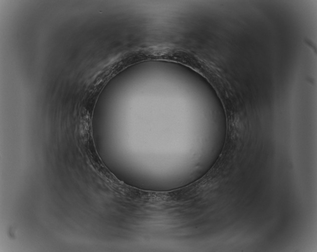 X0000103221349200809111459