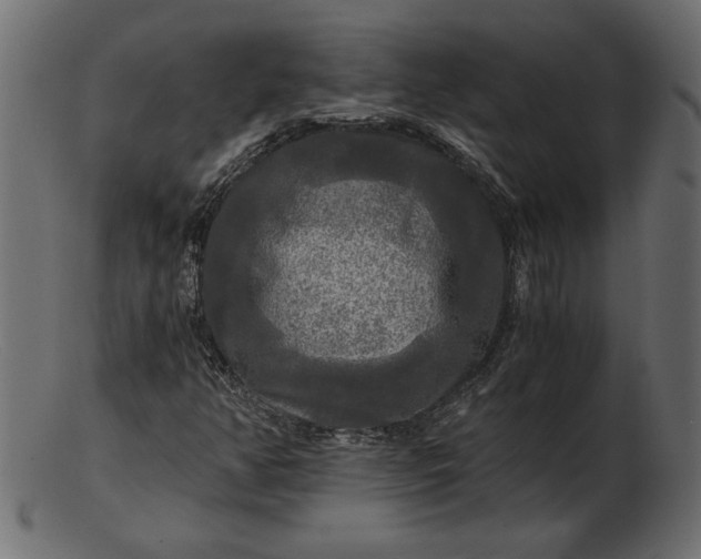 X0000103221350200809111459