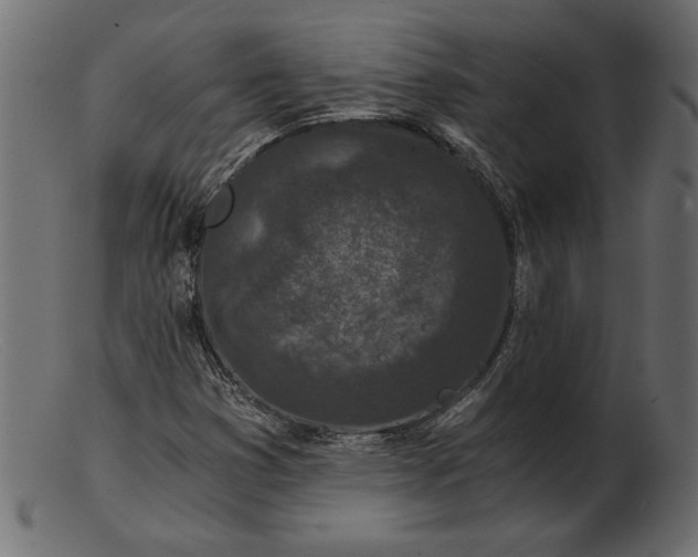 X0000103221353200809111459