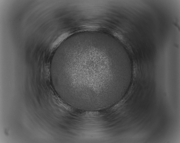 X0000103221354200809111459