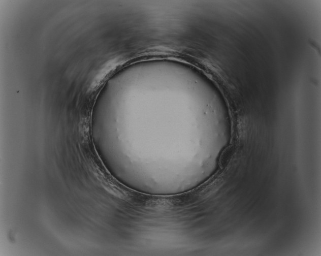 X0000103221355200809111459