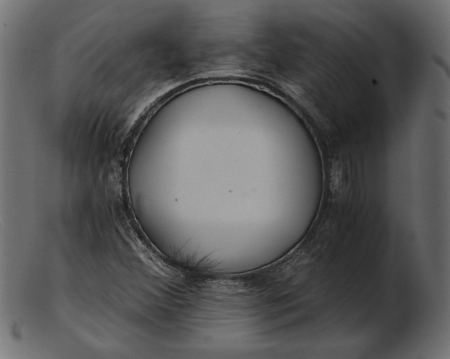 X0000103221356200809111459