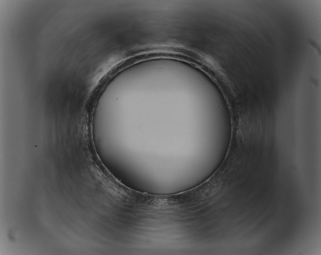 X0000103221360200809111459