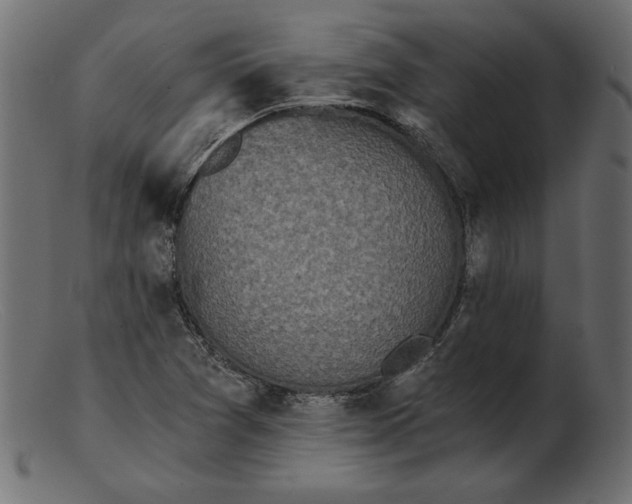 X0000103221361200809111459