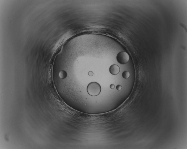 X0000103221362200809111459