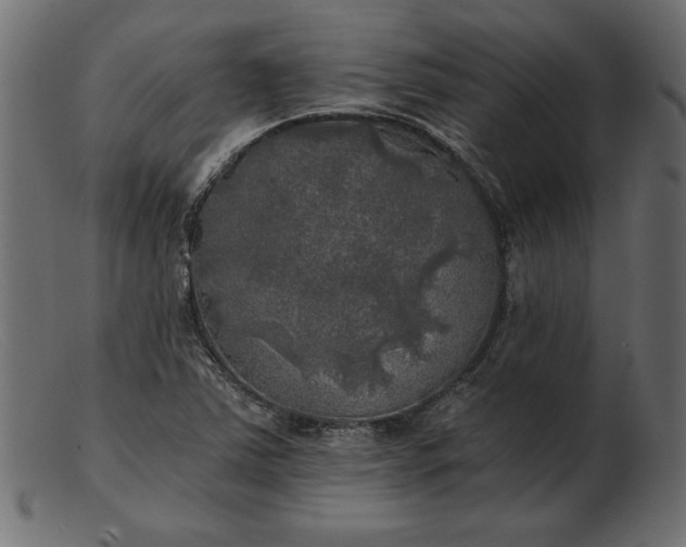 X0000103221363200809111459