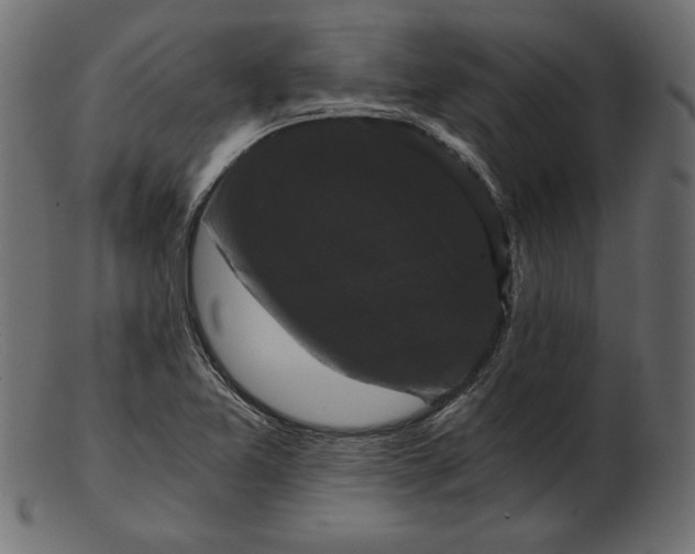 X0000103221365200809111459