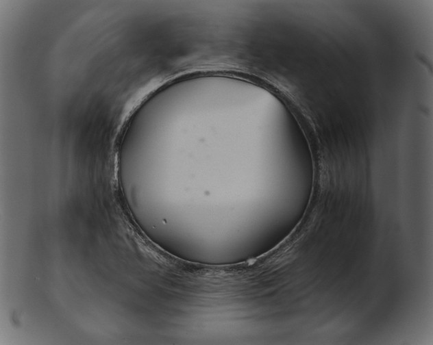 X0000103221366200809111459