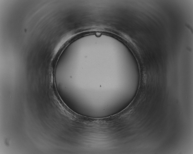 X0000103221368200809111459