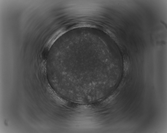 X0000103221369200809111458