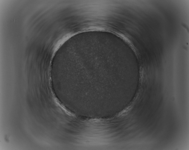 X0000103221373200809111458