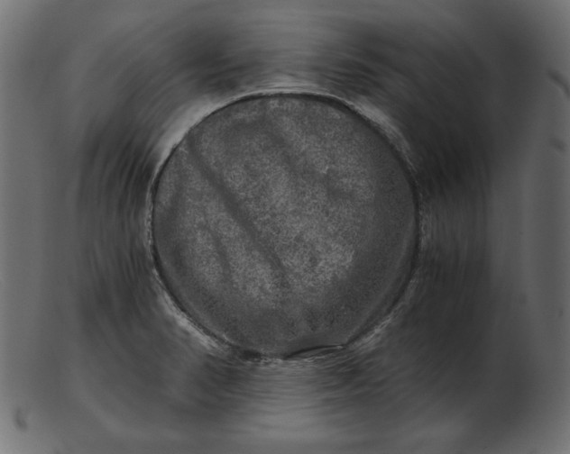 X0000103221374200809111458