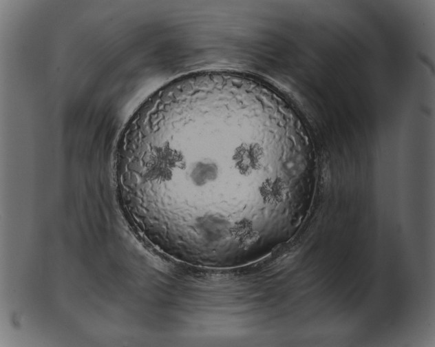 X0000103221375200809111458