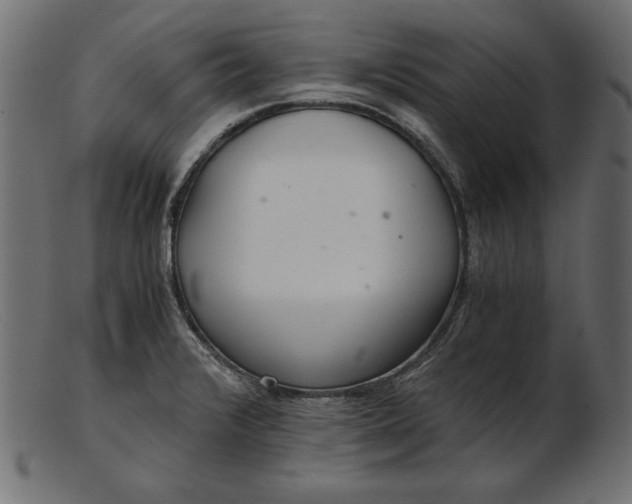 X0000103221376200809111458