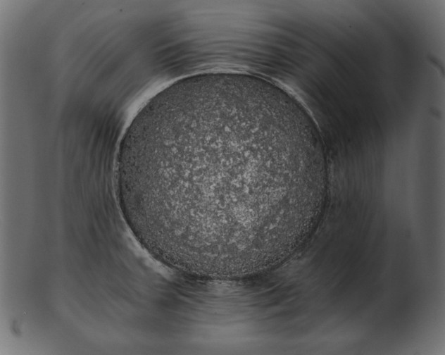 X0000103221379200809111458