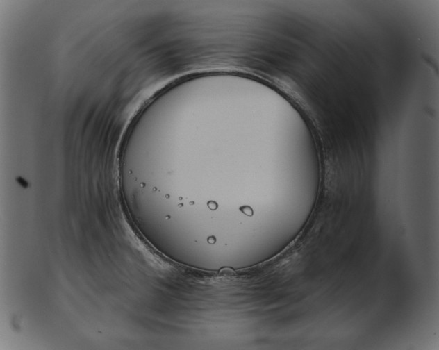 X0000103221380200809111458