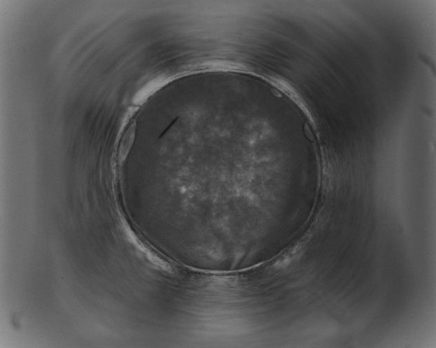 X0000103221381200809111458