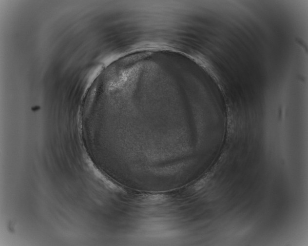 X0000103221382200809111458