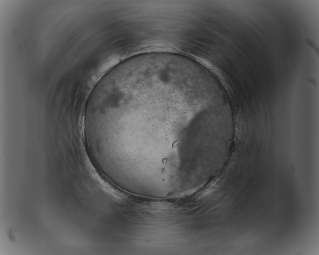 X0000103221383200809111458