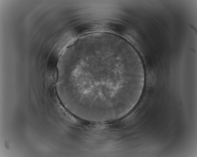 X0000103221385200809111458