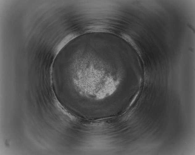 X0000103221386200809111458